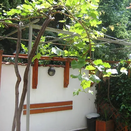 Yanina Guest house *