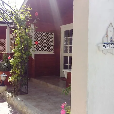 Yanina * Varna